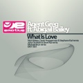 Agent Greg、Agent Greg - What is love (John De Mark & Steve Kid remix)