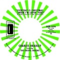 Charles Bradley - Every Day Is Christmas (When I'm Lovin' You)