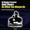 dj rhythm、Soul Theory - Do What You Wanna Do (Soul Mix)