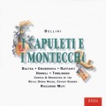 I Capuleti E I Montecchi Sinfoni