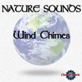 Chacra Music - Wind Chimes (Ns-14)