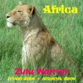 Africa - Zulu Warrior