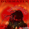 Dubmatix、Luciano - Seeds of Love and Life