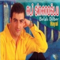 陈国强 - Belali Dilber
