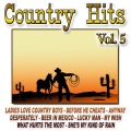 The Cowboy Band - Desperately