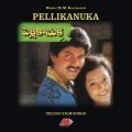 sp balasubramaniam、M. M. Keeravani、S.P.Balasubrahmanyam - Bhangaru Bommaka