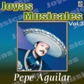 Pepe Aguilar - Son Las Dos De La Manana