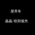 晶晶、欧阳俊杰 - 爱养车