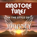 Ringtone Track Masters - When You Love A Woman