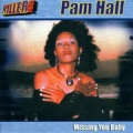 Pam Hall - Missing You Baby (Remix)