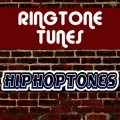 Ringtone Track Masters - Shake That