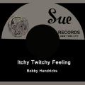 Bobby Hendricks - If I Had Your Love [Outtake]