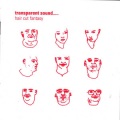 Transparent Sound - Losing Hair