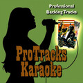 ProTracks Karaoke - Shake It Off