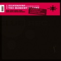 Desmond Foster、Zilverzurf - The Moment Is Gone