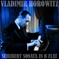 Sonata In B Flat, Op. Posth.: I. Molto Moderato