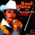 N、Saul Viera el Gavilancillo - Manuel Viscarra