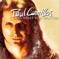 paul miller - Love So Strong