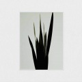 Wet - Weak (Clams Casino Remix)