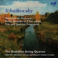 The Endellion String Quartet、Robert Cohen、Tim Boulton - String Sextet in D minor, Op.70 'Souvenir de Florence': Adagio cantabile e con moto