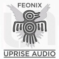 Feonix、Kaya - Resurrection