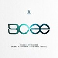 BCee、David Boomah - Typical Description