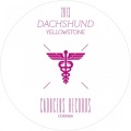 Dachshund - Northern Steam