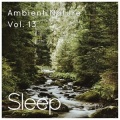 Ambient Nature Sleep Sounds, Pt. 61