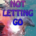 Not Letting Go - Tribute to Tinie Tempah and Jess Glynne