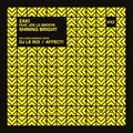 ZAKI、Joe Le Groove - Shining Bright