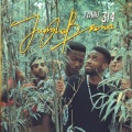 Jungle Brown、Krysis - In the City