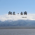 向北,去南