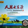 DJ 波仔 - 大草原车载串烧大碟