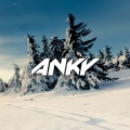 Love come down (Anky Remix)