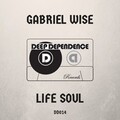 Gabriel Wise - Life Soul