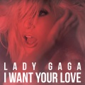 Lady Gaga - I Want Your Love