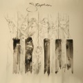 Stephen - Fly Down