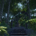 [GRRL] - Jungle Level