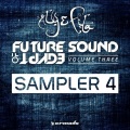 Future Sound Of Egypt, Vol. 3 - Sampler 4