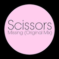 Scissors - Missing