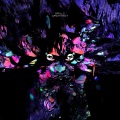 Grillz、whereisalex - Fuel