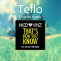 Teflo、Nico & Vinz - That's How You Know