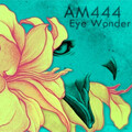 AM444 - 失忆