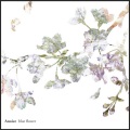 Anoice - blue flowers