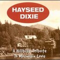 Hayseed Dixie - The Perfect Woman