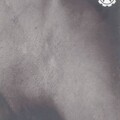 Navicon Torture Technologies - I Can't Remember To Forget You