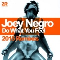 Joey Negro - Do What You Feel (Supernova Remix)