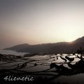 4lienetic、Artandr - You Never Loved Me (Artandr Remix)