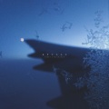 James Everingham - Apollo
