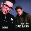 3rd Bass - Product Of The Environment